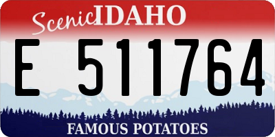 ID license plate E511764