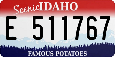 ID license plate E511767