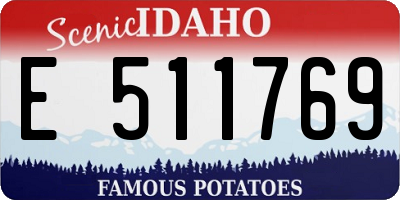 ID license plate E511769