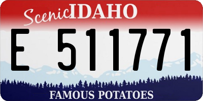 ID license plate E511771