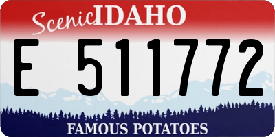 ID license plate E511772