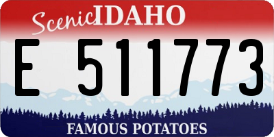 ID license plate E511773