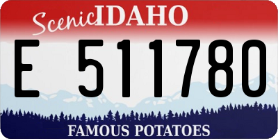 ID license plate E511780