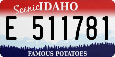 ID license plate E511781