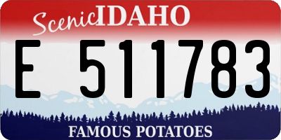 ID license plate E511783