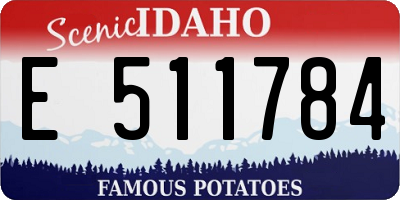 ID license plate E511784
