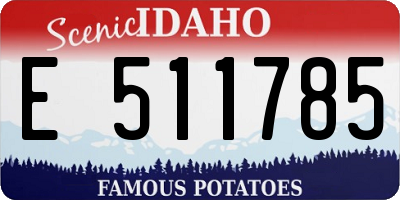 ID license plate E511785