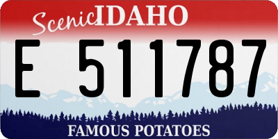 ID license plate E511787