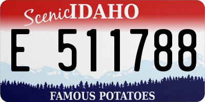 ID license plate E511788