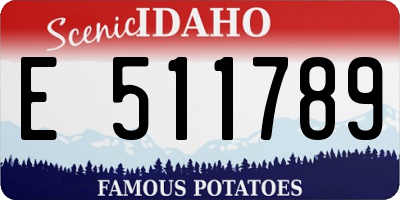 ID license plate E511789
