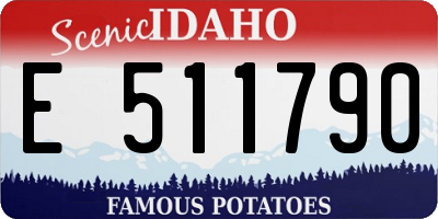 ID license plate E511790