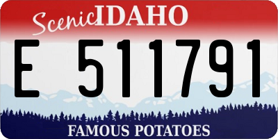 ID license plate E511791