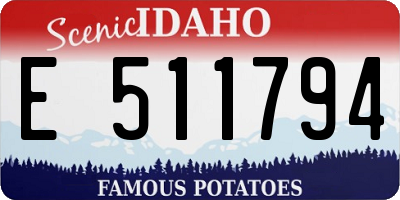 ID license plate E511794