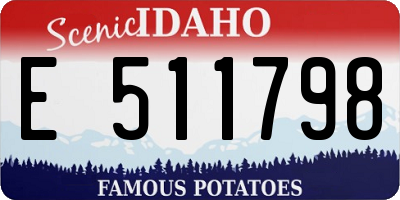 ID license plate E511798