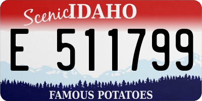 ID license plate E511799
