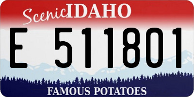 ID license plate E511801