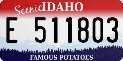 ID license plate E511803