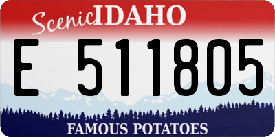 ID license plate E511805