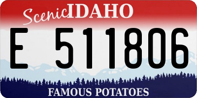 ID license plate E511806