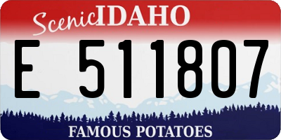 ID license plate E511807