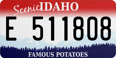ID license plate E511808