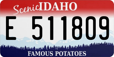 ID license plate E511809