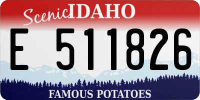 ID license plate E511826