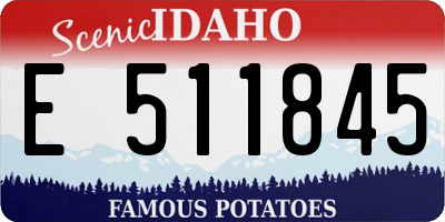 ID license plate E511845