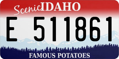 ID license plate E511861