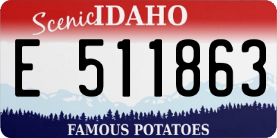 ID license plate E511863