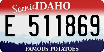 ID license plate E511869