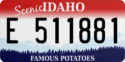 ID license plate E511881