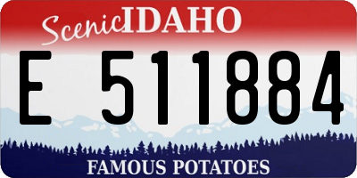 ID license plate E511884