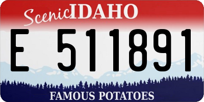 ID license plate E511891