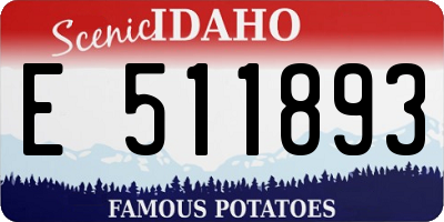 ID license plate E511893