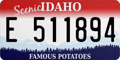 ID license plate E511894
