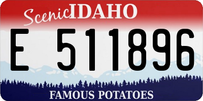 ID license plate E511896