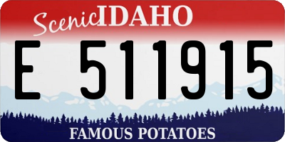 ID license plate E511915