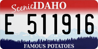 ID license plate E511916
