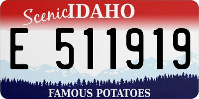 ID license plate E511919