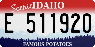 ID license plate E511920