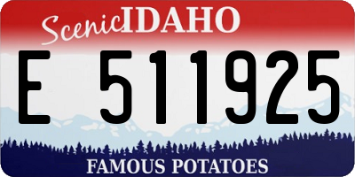 ID license plate E511925