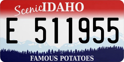 ID license plate E511955