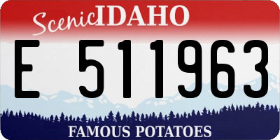 ID license plate E511963