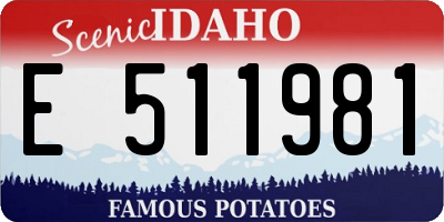 ID license plate E511981