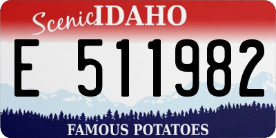 ID license plate E511982