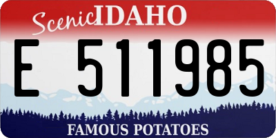 ID license plate E511985