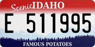 ID license plate E511995