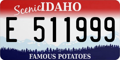 ID license plate E511999
