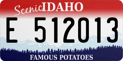 ID license plate E512013